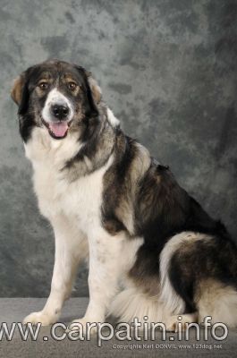 Deva de Calimani
Odihneasca-se in pace! 
