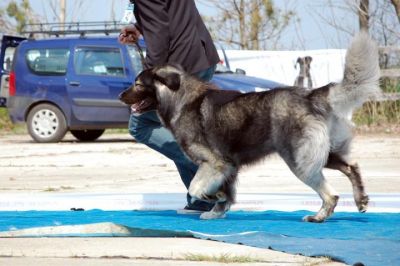 H-Khan ot Aral Dream
