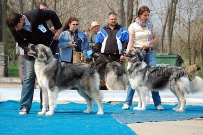 Jar si Epinefrine ot Aral Dream
