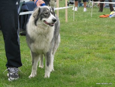 Sanziana a lu'Voarea
