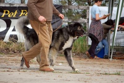 H-Khan ot Aral Dream
