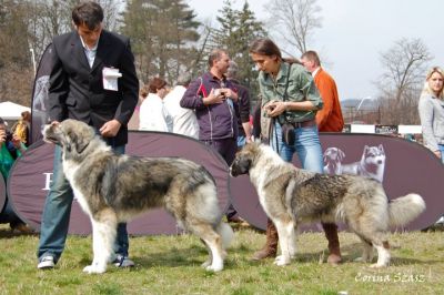 Jar si Iza ot Aral Dream
