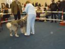 Filename=DSC05217.JPG
Filesize=131KiB
Dimensions=1200x900
Date added=Mar 24, 2012 DSC05217.JPG