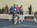 Filename=IMG_1978.jpg
Filesize=91KiB
Dimensions=1000x750
Date added=Mar 24, 2012 IMG_1978.jpg
