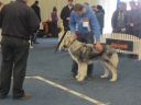 Filename=IMG_1999.jpg
Filesize=92KiB
Dimensions=1000x750
Date added=Mar 24, 2012 IMG_1999.jpg