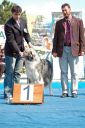 Filename=jar2.jpg
Filesize=77KiB
Dimensions=479x720
Date added=Nov 27, 2010 jar2.jpg