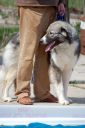 Filename=jar4.jpg
Filesize=59KiB
Dimensions=479x720
Date added=Nov 27, 2010 jar4.jpg